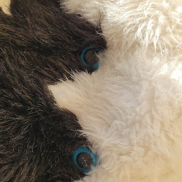 THE ROCKING HORSE WOLF HAT - Picture 5 of 11